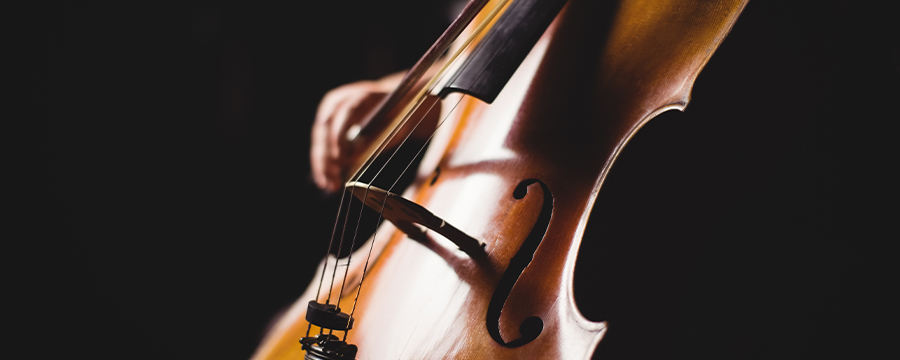 violoncelle