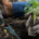 micro forêt