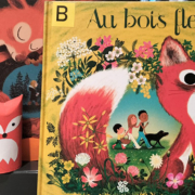 Contes des forêts et des renards