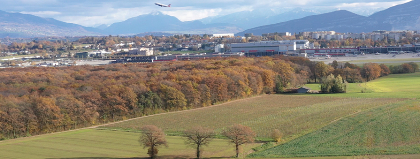 Bois de la Bagasse