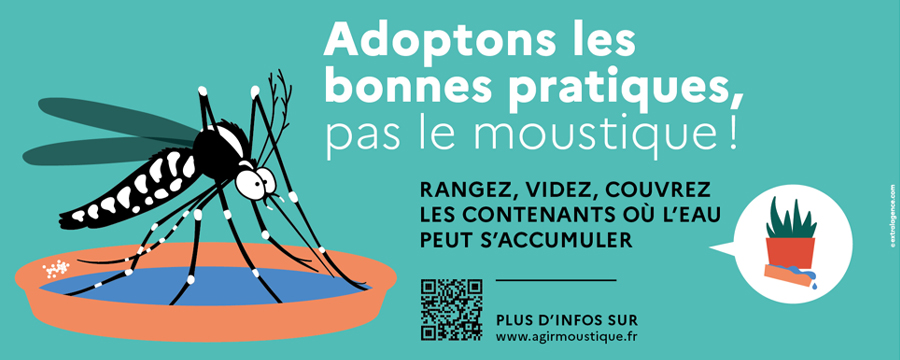 lutter contre le moustique tigre