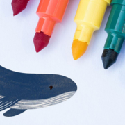 Cycle La Baleine - Dessiner sur les vitres