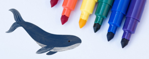 Cycle La Baleine - Dessiner sur les vitres
