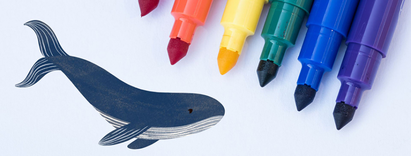 Cycle La Baleine - Dessiner sur les vitres