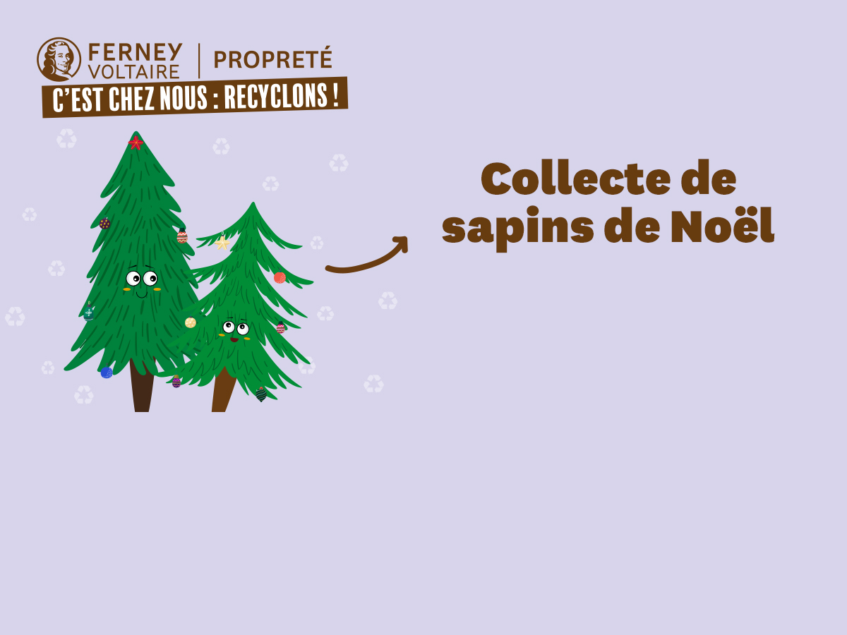 Collecte sapins de Noël