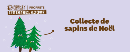Collecte sapins de Noël