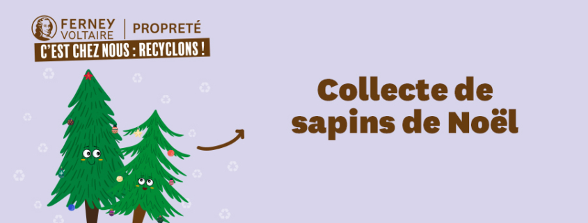 Collecte sapins de Noël