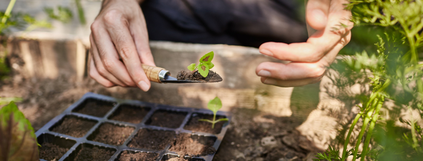 Atelier permaculture