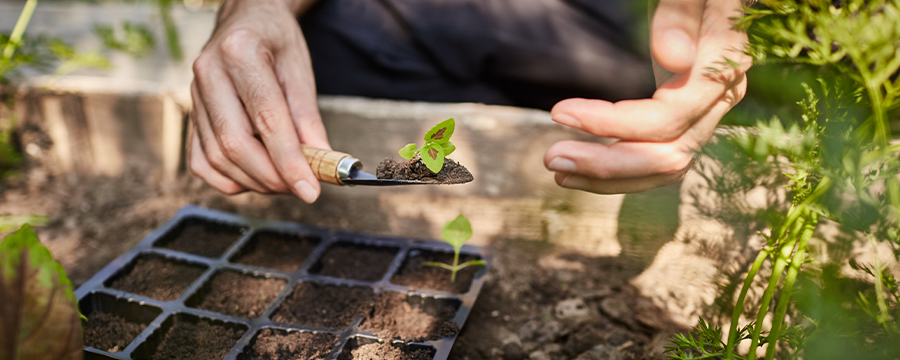Atelier permaculture