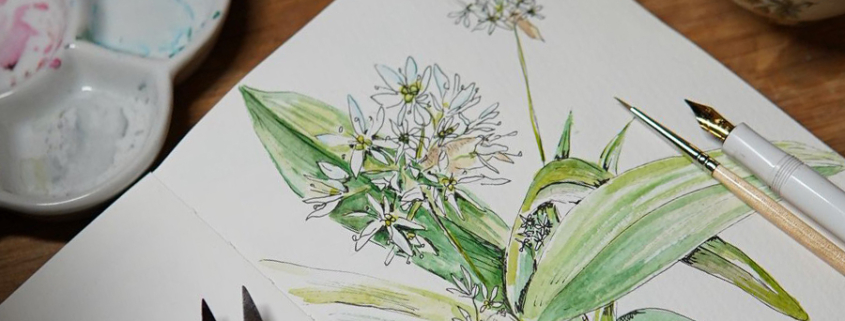 Atelier d’aquarelle botanique