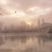 Exposition de photographies