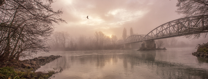 Exposition de photographies