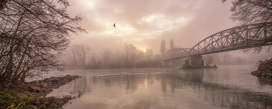 Exposition de photographies