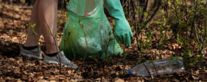 déchets nettoyage